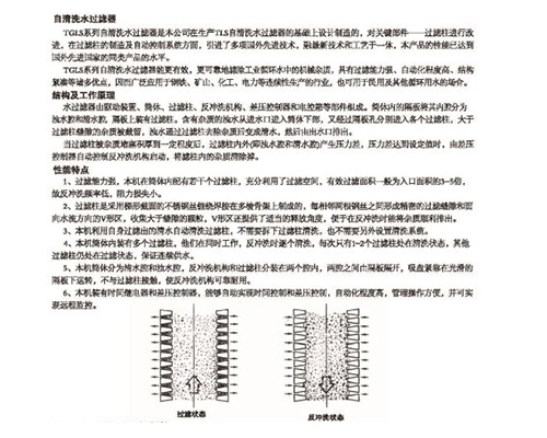 衡水自清洗水過(guò)濾器